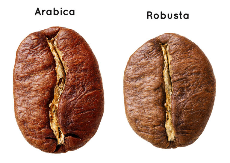 Different Types of Coffee Beans